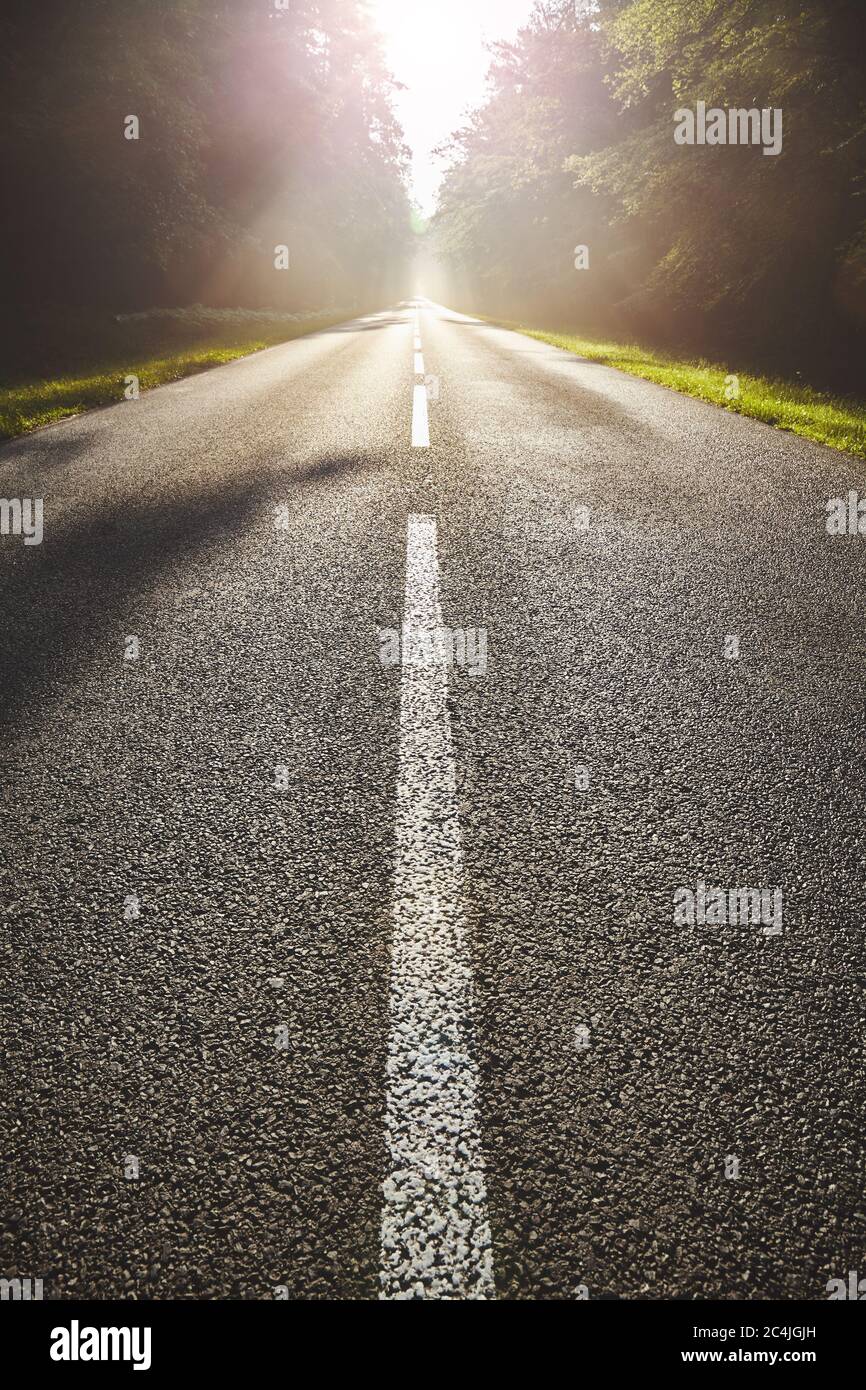 Strada asfaltata bagnata in foresta contro il sole con effetto di luce parassita. Foto Stock