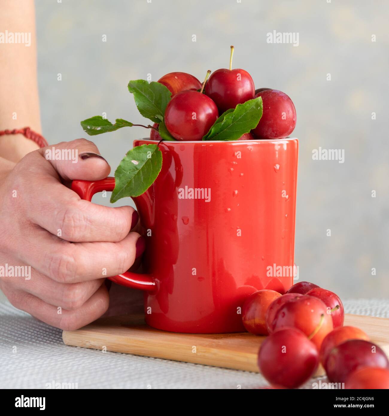 Primo piano di mani femminili che tengono tazze di prugne fresche, cibo dolce sano Foto Stock