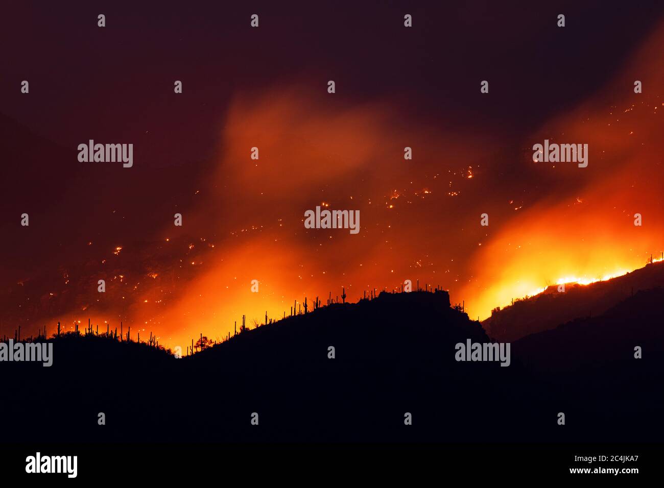 Bighorn Fire infuria nelle montagne di Santa Catalina vicino al Sabino Canyon, 6/23/20 Tucson, Arizona, Stati Uniti Foto Stock