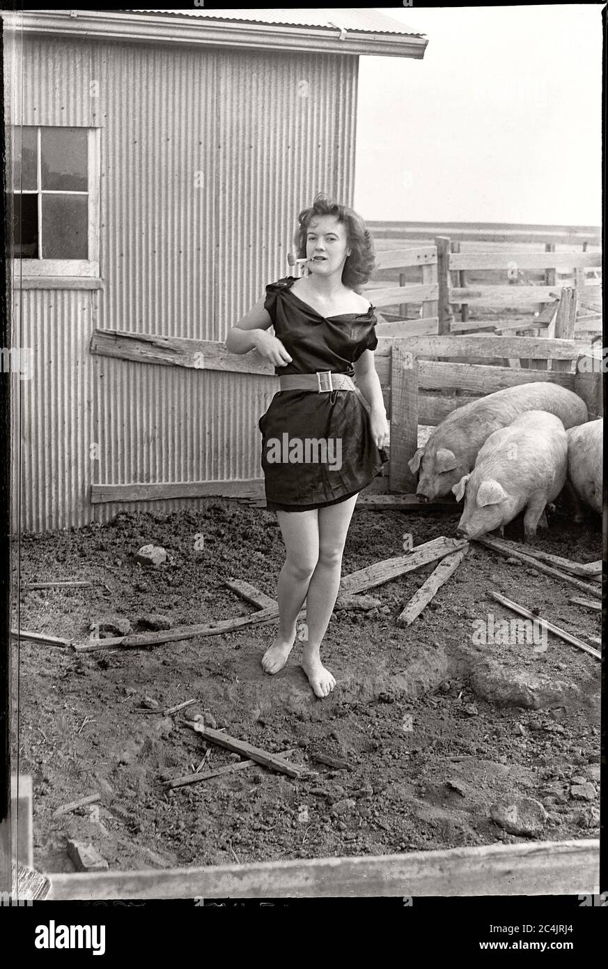 Fattoria a piedi nudi ragazza in abito nero fumo di un tubo in una stia di maiale, circa 1950. Immagine da 2x3 pollici negativo. Foto Stock