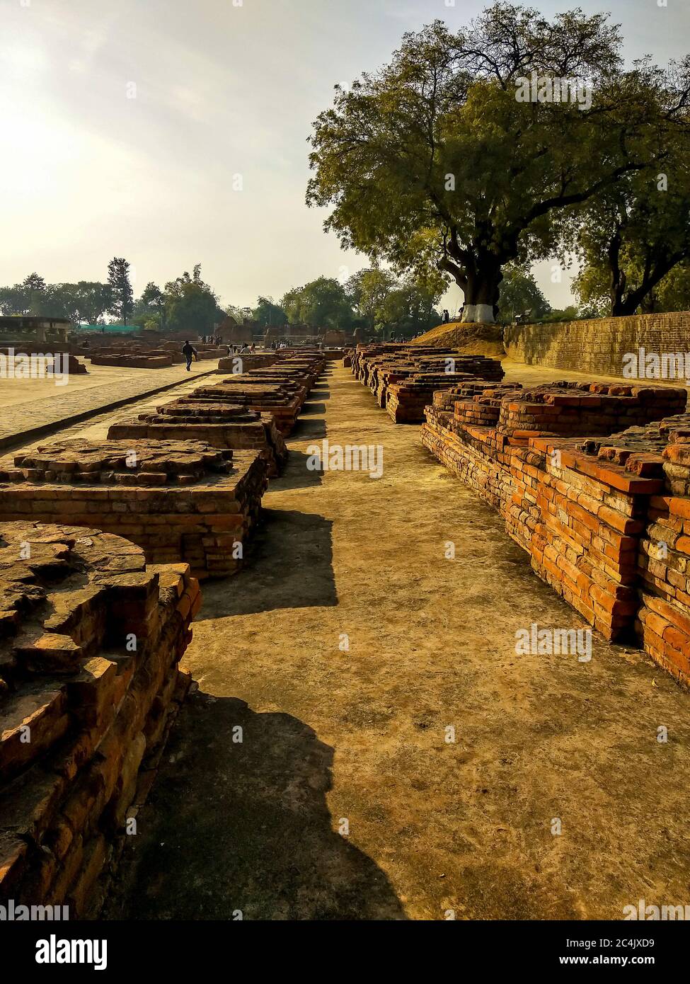 Sito di scavo degli antichi monasteri buddisti vicino a Dhamekh Stupa sito monumento, Sarnath, Uttar Pradesh, India Foto Stock