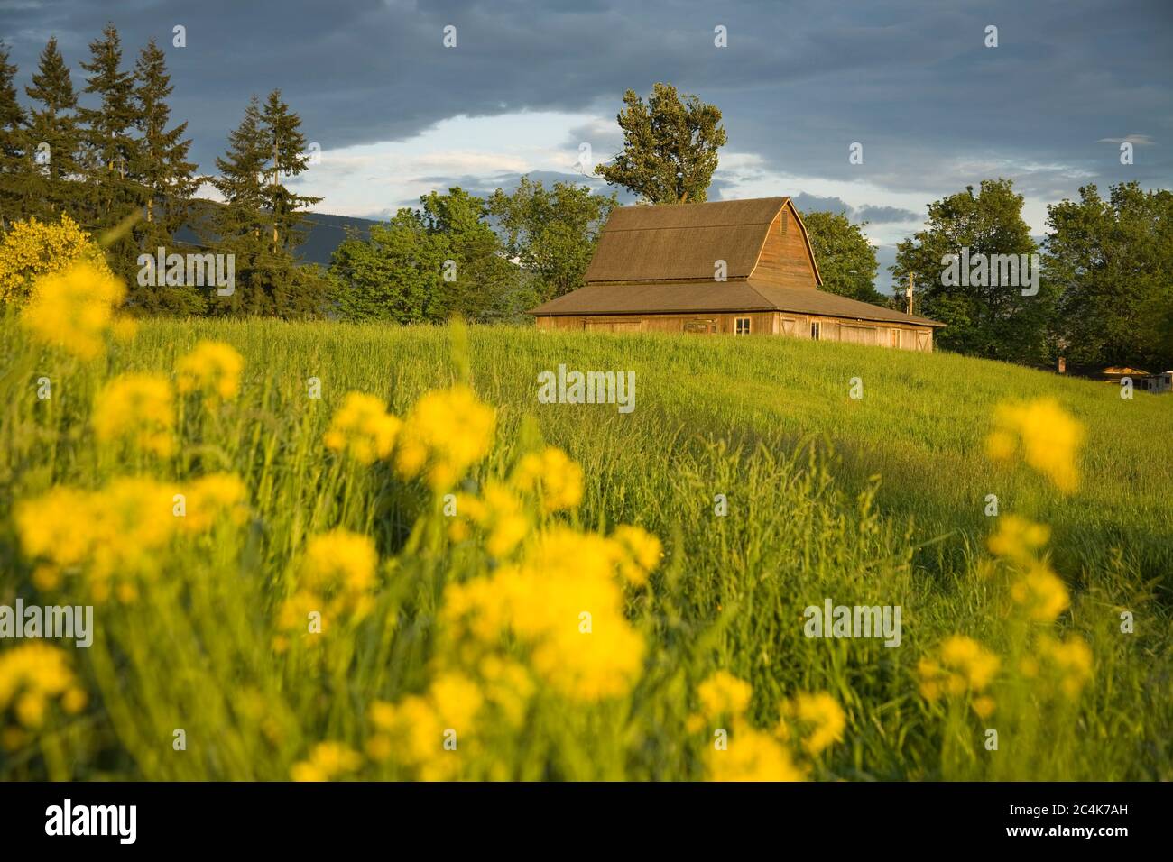 Granaio, Sultan City, Stevens Pass Scenic Highway, nello Stato di Washington, USA Foto Stock