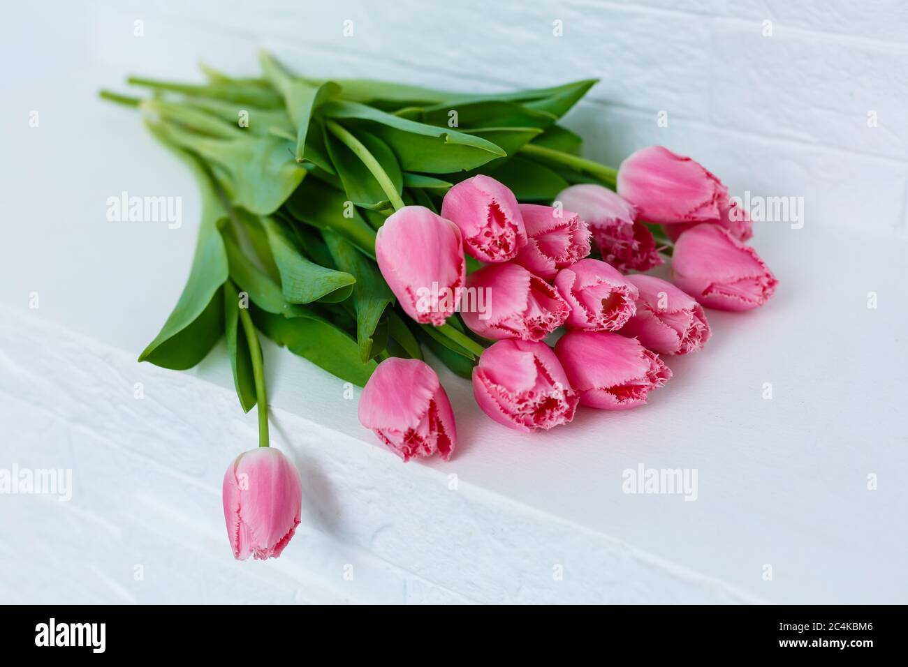 Bouquet di tulipani rosa su sfondo bianco Foto Stock