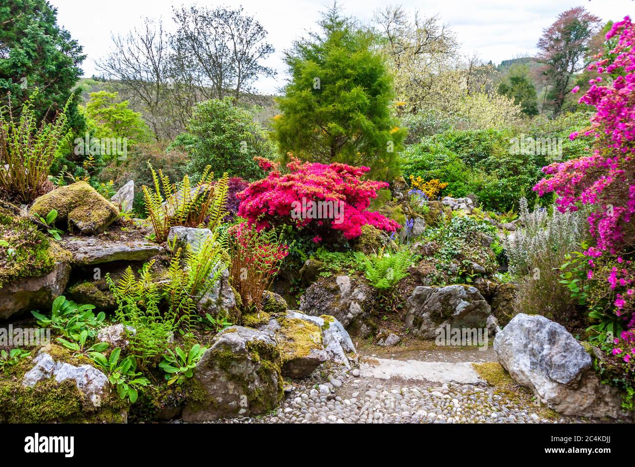 Endsleigh Hotel Garden a West Devon, Inghilterra Foto Stock