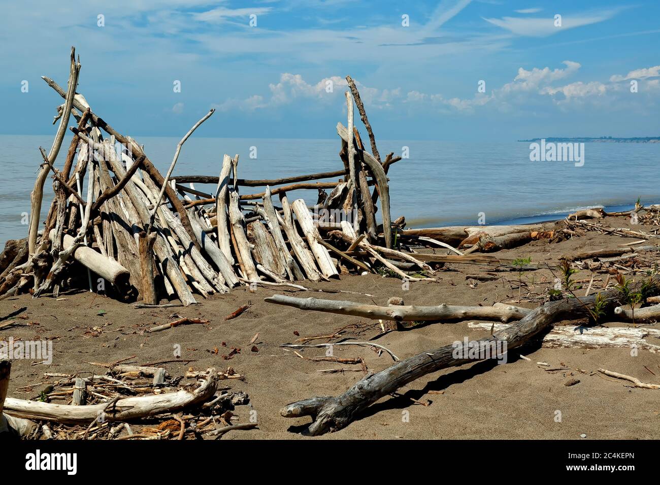 Driftwood capanna riva del lago Erie Ontario Canada. Foto Stock