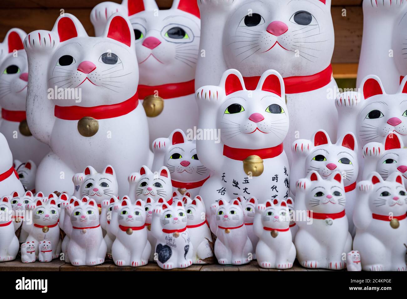 Primo piano su maneki-neko o "statue di gatti invitanti alla fortuna" al tempio buddista Gotokuji. Setagaya, Tokyo, giappone. Foto Stock