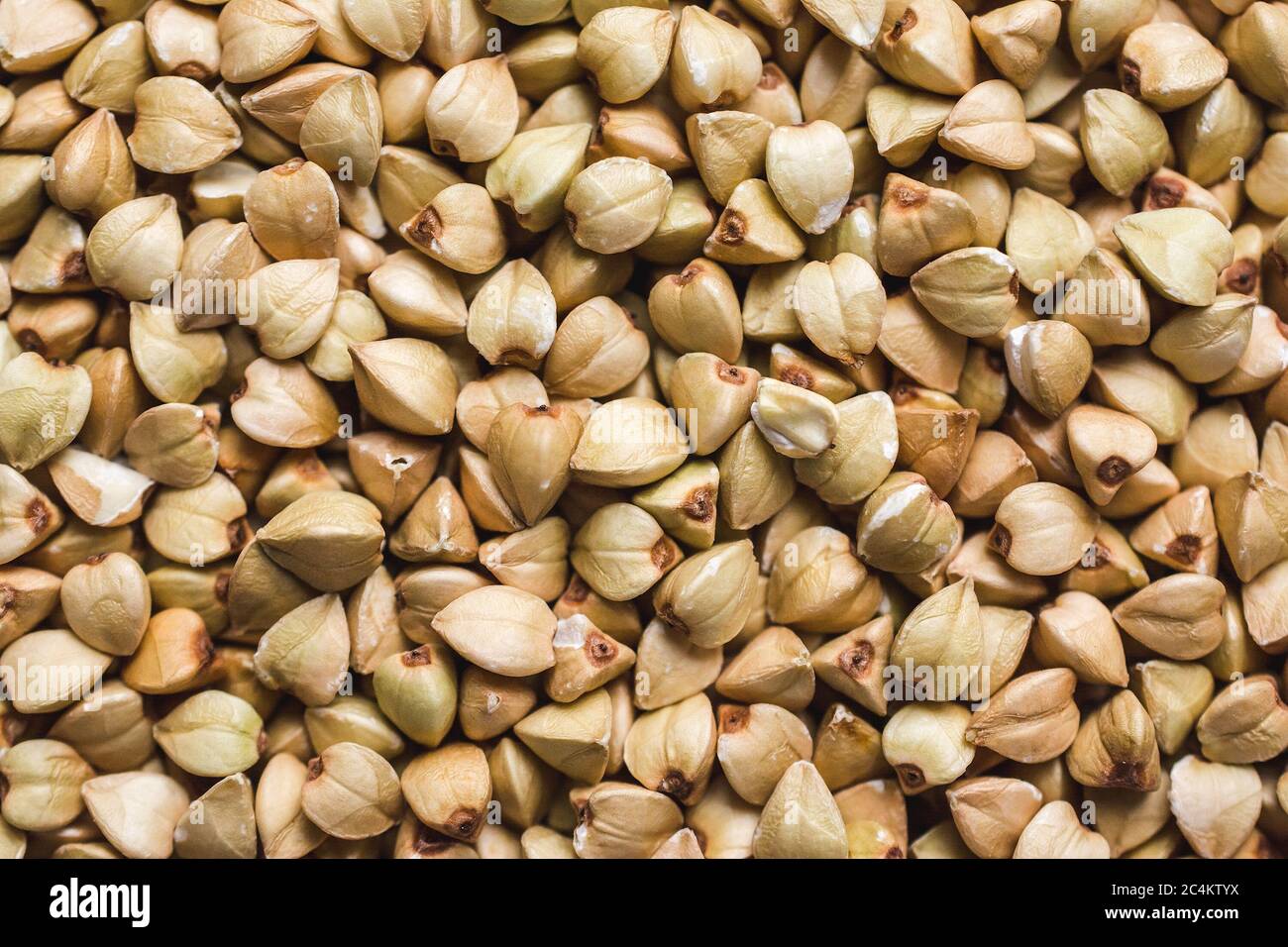 Primo piano di grano saraceno fresco intero Foto Stock