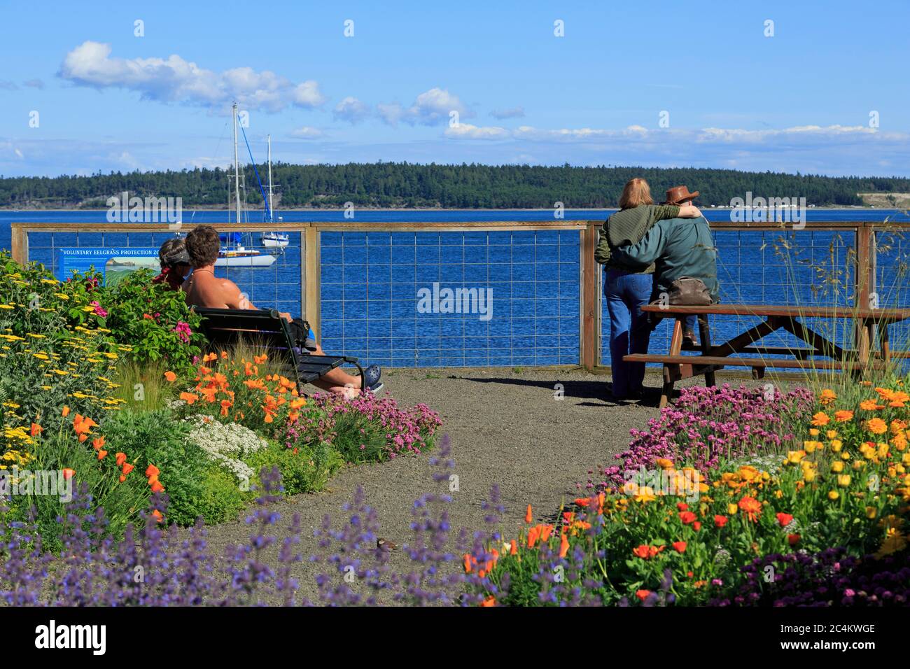 Adams Street Park, Port Townsend, Puget Sound, Washington state, USA, Nord America Foto Stock