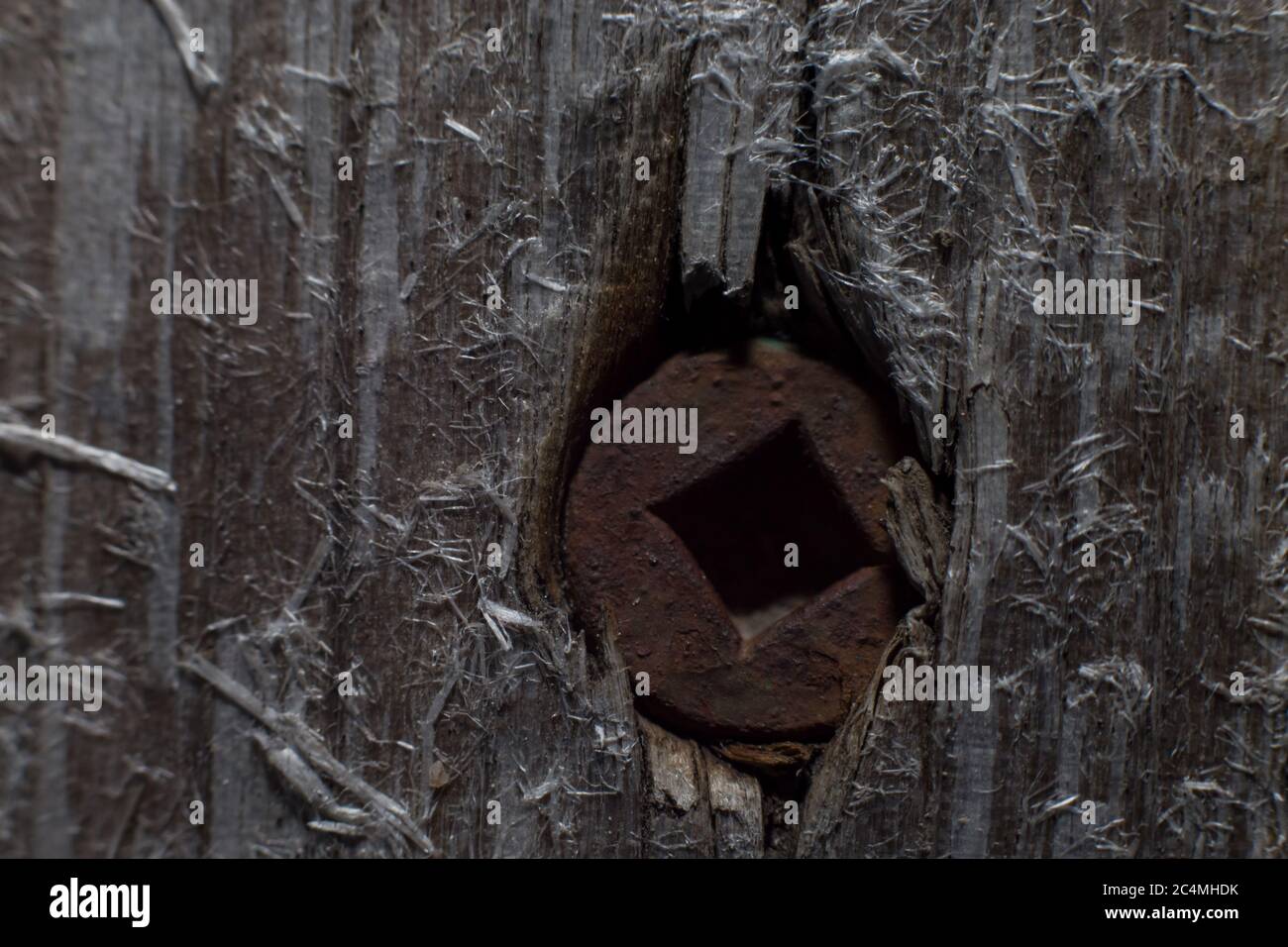 Un primo piano di una vite arrugginita con una cavità quadrata che è stata spinta in profondità nel legno invecchiato causando schegge. Foto Stock