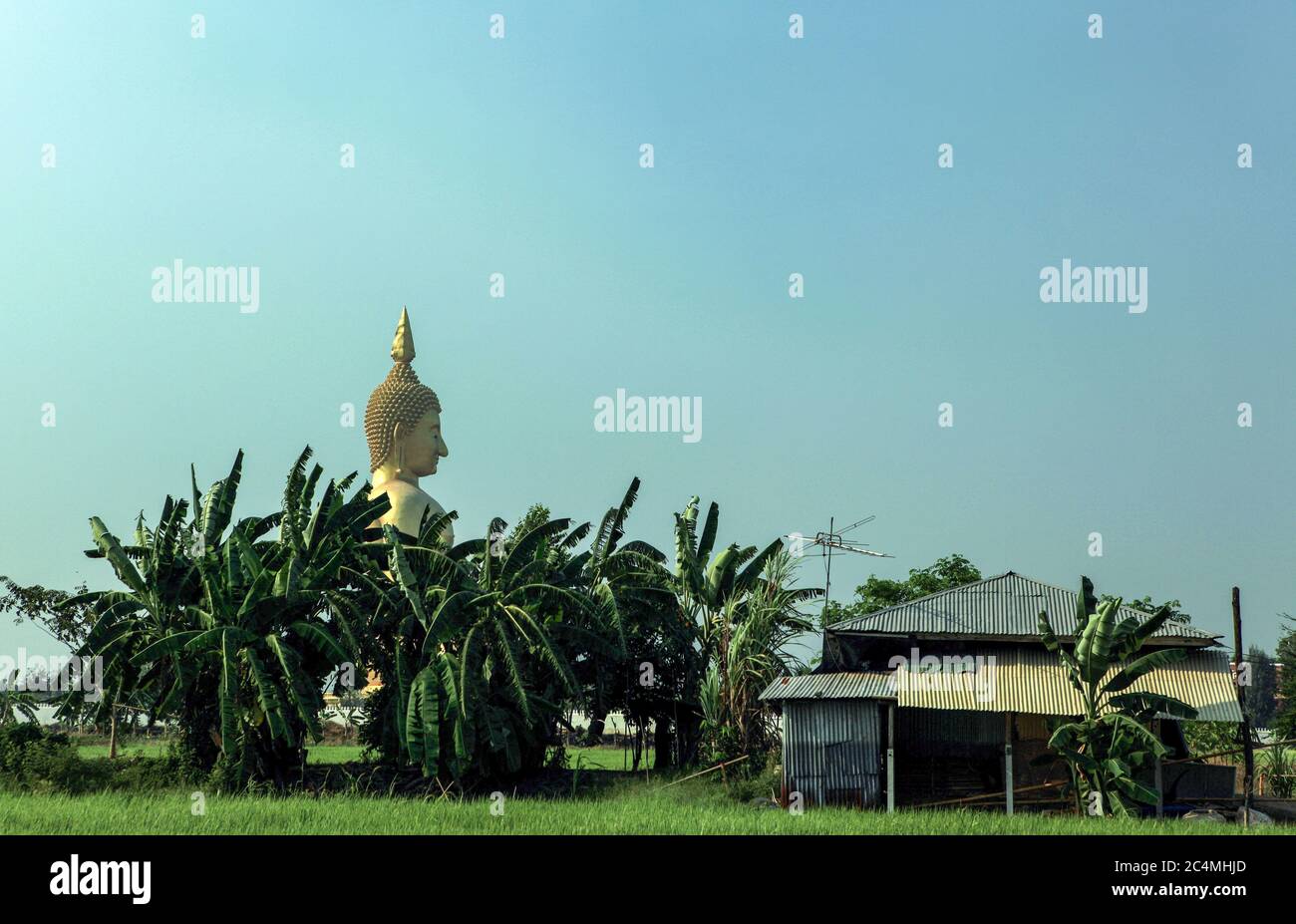 Il tempio Wat Muang, il luogo sacro di culto buddista nella provincia di Ang Thong, situato a 120 km da Bangkok. E' la statua del Buddha più alta del regno, alta 92 metri e larga 63 metri. Foto Stock
