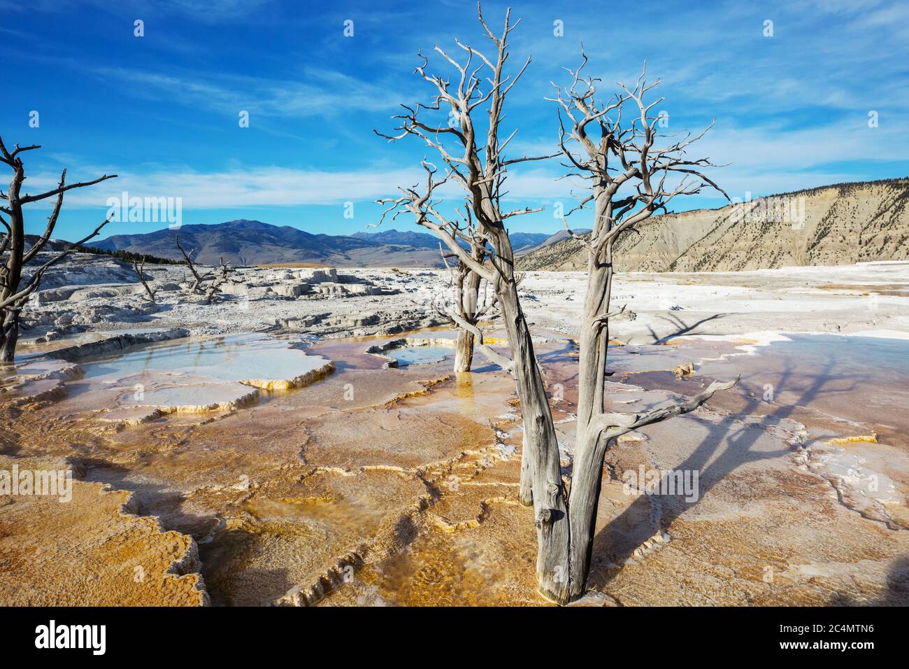 Mammoth Hot Spring all'entrata nord del Parco Nazionale di Yellowstone, Wyoming USA Foto Stock