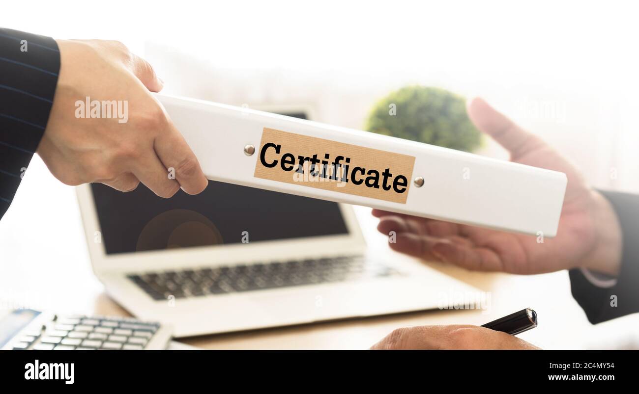 Il personale invia i documenti dei certificati al responsabile esecutivo. Foto Stock