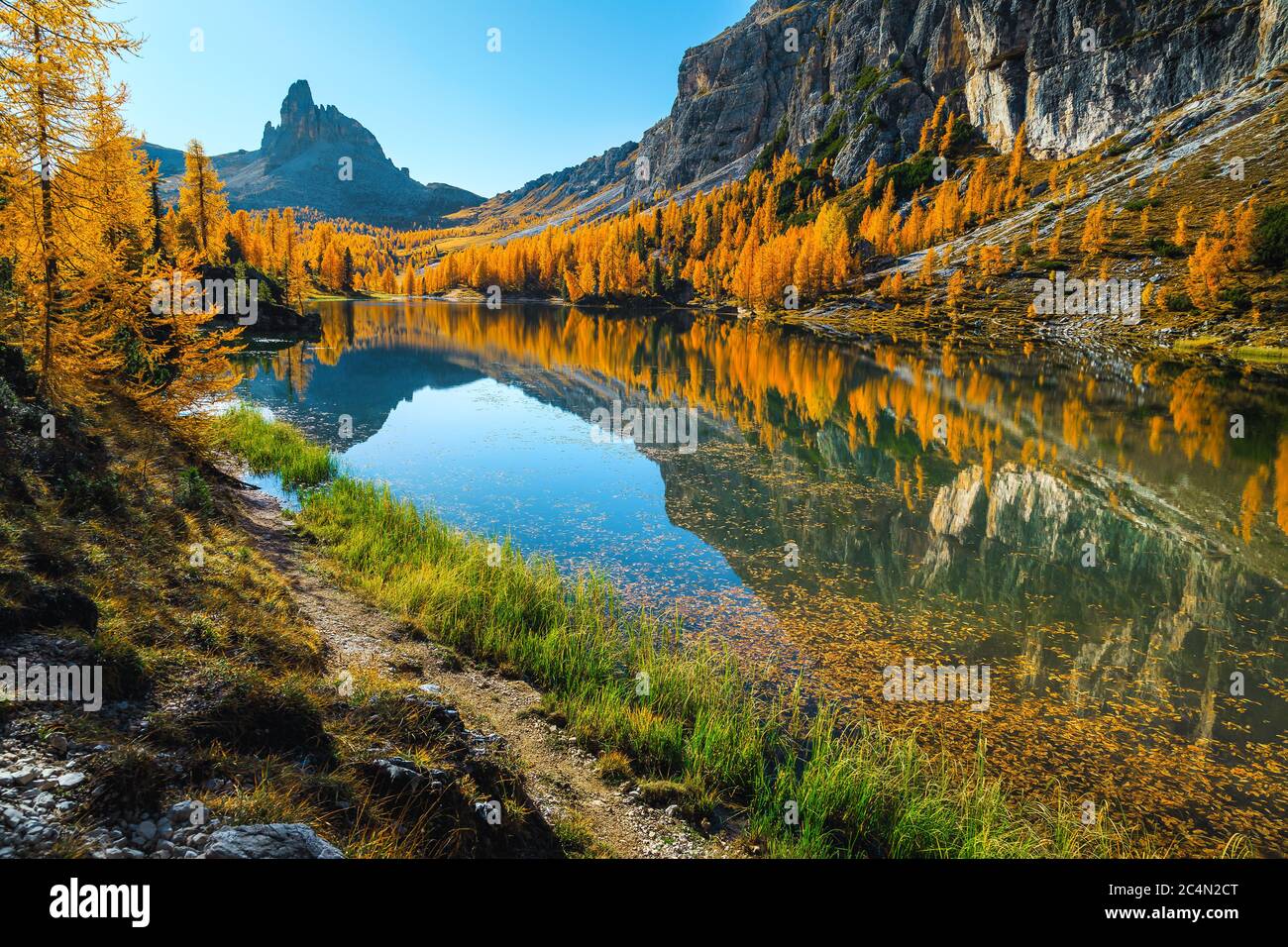 Splendido paesaggio autunnale con spettacolare lago di montagna e colorate larve gialle nelle Dolomiti, lago Federa, Italia, Europa Foto Stock
