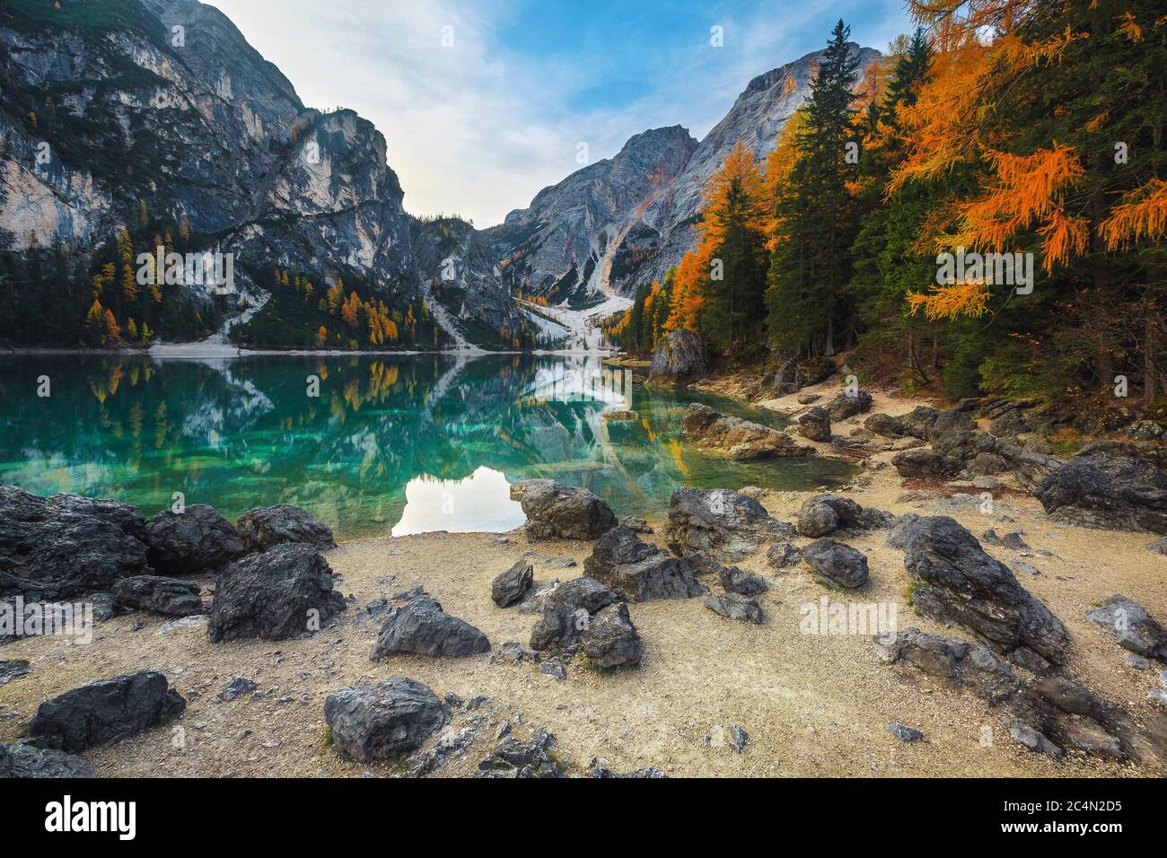 Popolare luogo di escursioni, viaggi e di phtography. Spettacolari larici gialle e limpide laghetto in montagna, lago Braies, Dolomiti, Italia, Europa Foto Stock