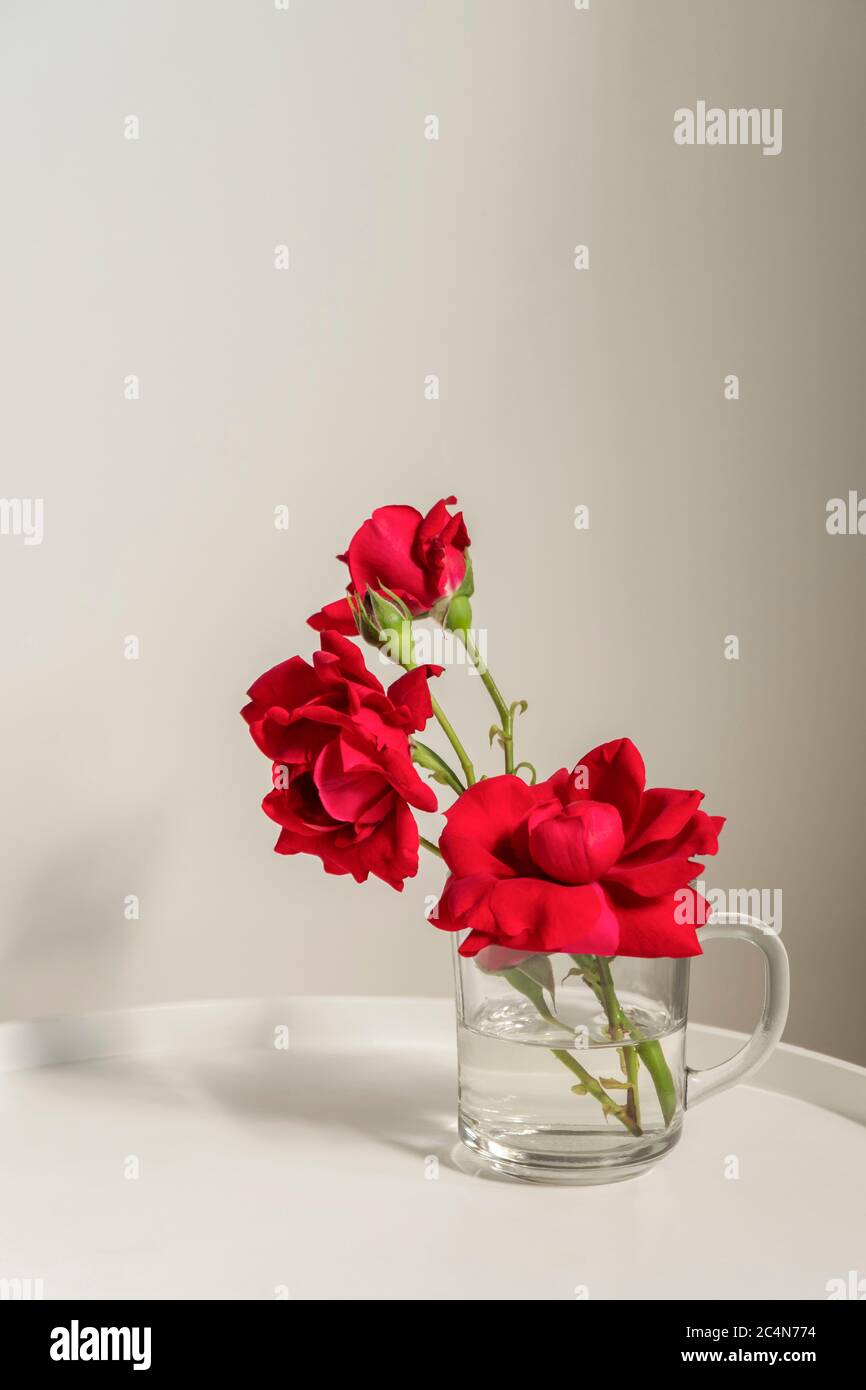 Belle rose rosse in una tazza di vetro su tavolino da caffè bianco con spazio per il testo Foto Stock