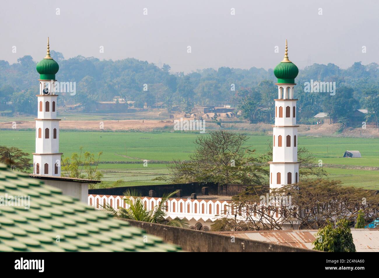Paesaggio del villaggio indiano di Assam con minareti bianchi di moschea e giungla distante. Foto Stock
