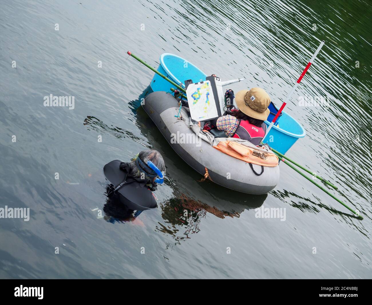 Indagine ambientale in un lago in Giappone Foto Stock