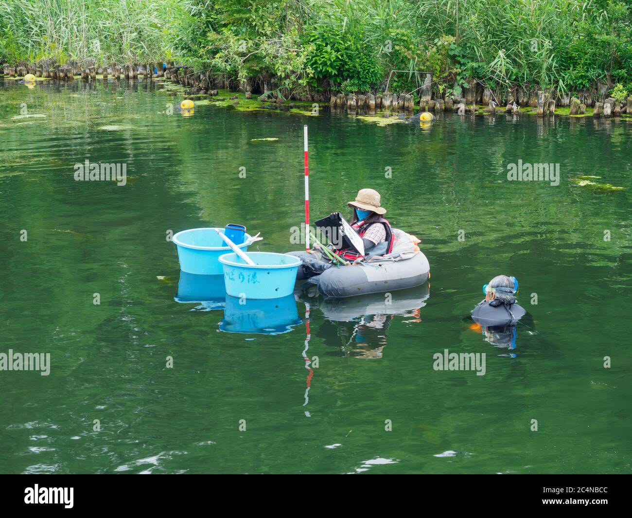 Indagine ambientale in un lago in Giappone Foto Stock