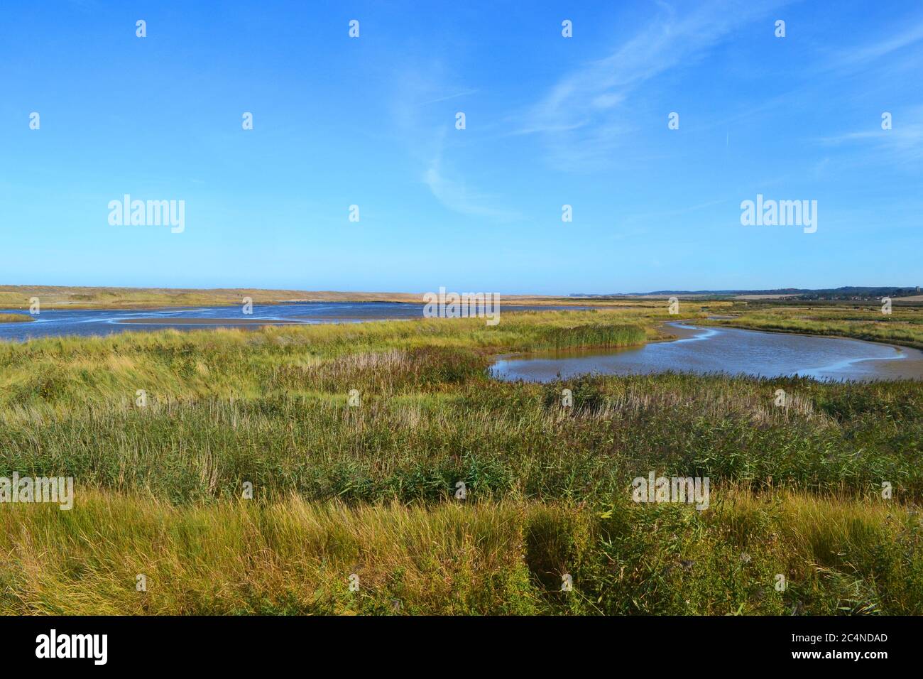 Cley Marshes una riserva naturale di proprietà del Norfolk Wildlife Trust, a Cley NEXT the Sea, Norfolk, UK Foto Stock