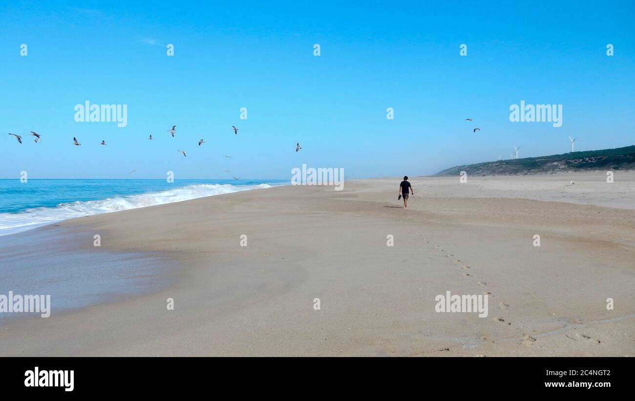Single uomo solo viaggiatore a piedi sulla riva del mare spiaggia con gruppo di gabbiano nel cielo blu Foto Stock