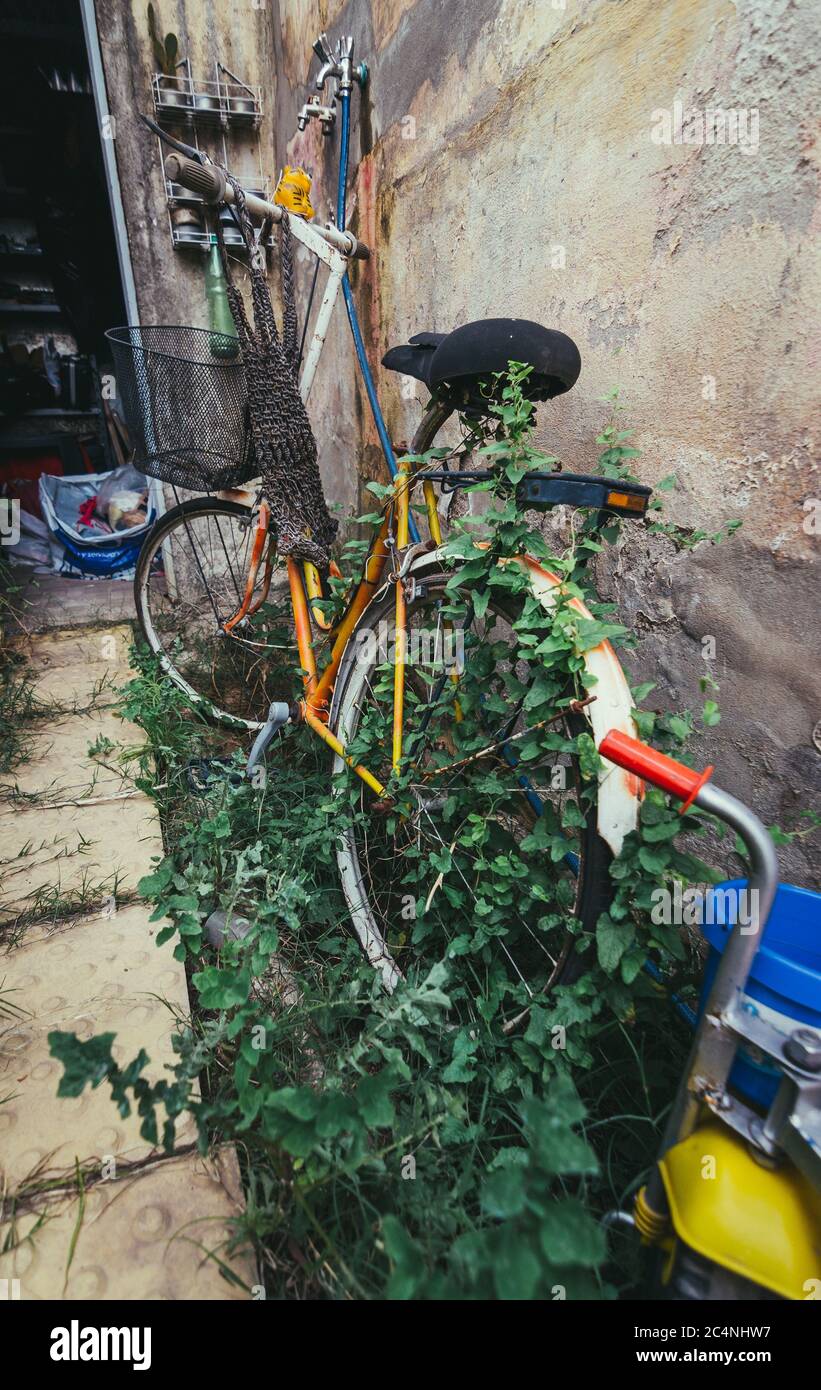 Tiro verticale di una vecchia bicicletta parcheggiata vicino ad una pietra muro con piante verdi Foto Stock