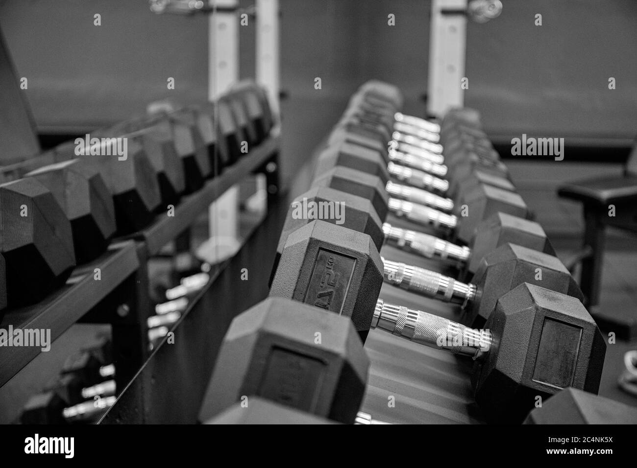 Manubri neri in palestra. Chiudi molte manubri in metallo su rack nel centro fitness sportivo. Concetto di attrezzatura per l'addestramento del peso. Foto Stock