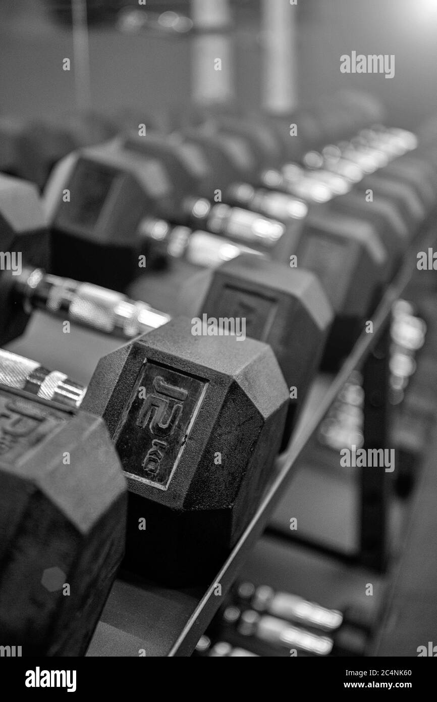 Manubri neri in palestra. Chiudi molte manubri in metallo su rack nel centro fitness sportivo. Concetto di attrezzatura per l'addestramento del peso. Foto Stock