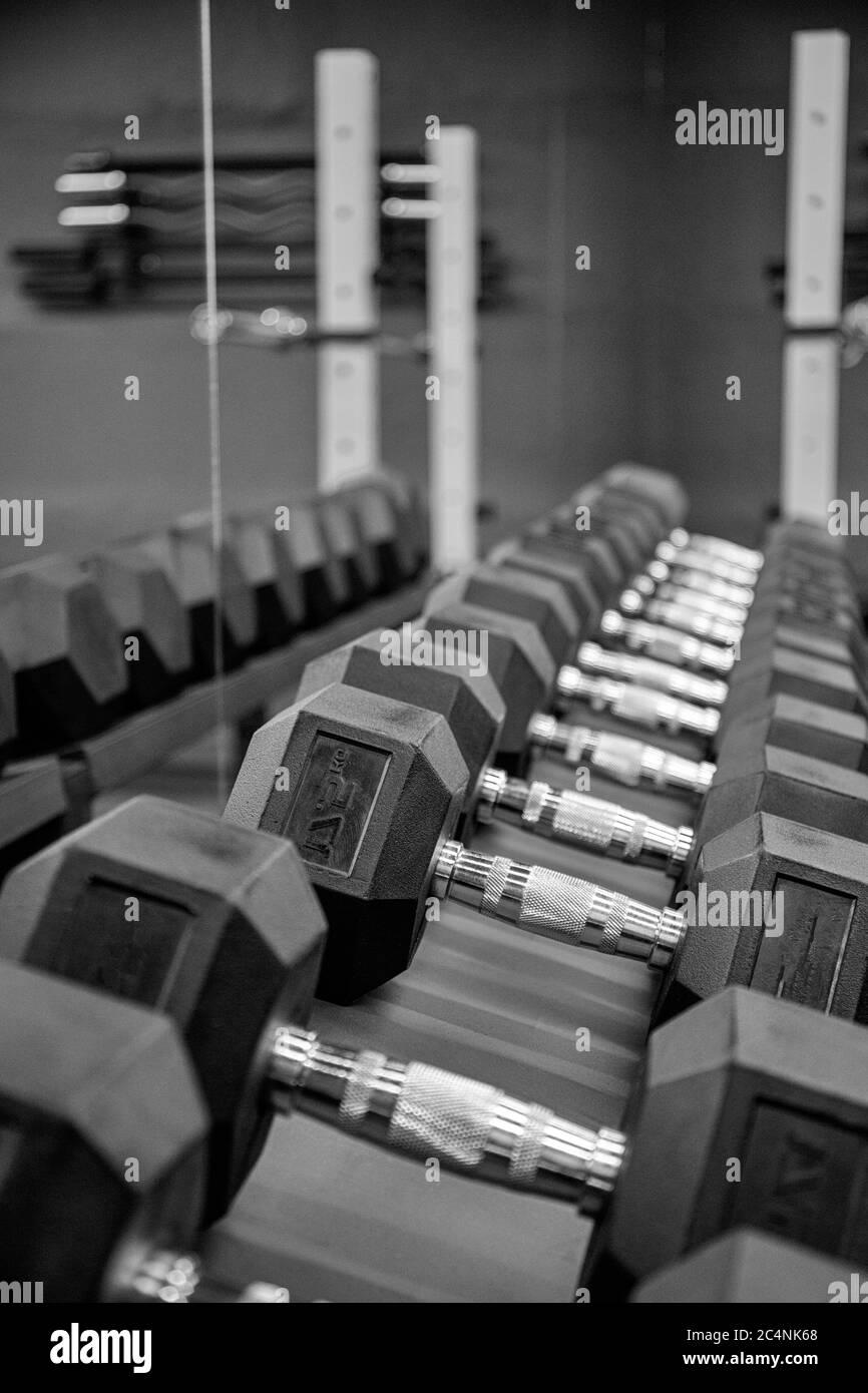 Manubri neri in palestra. Chiudi molte manubri in metallo su rack nel centro fitness sportivo. Concetto di attrezzatura per l'addestramento del peso. Foto Stock