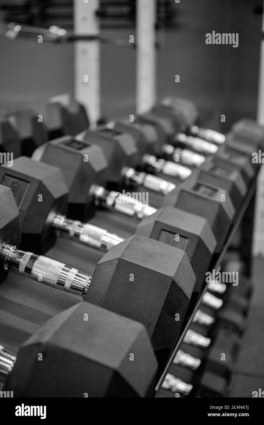 Manubri neri in palestra. Chiudi molte manubri in metallo su rack nel centro fitness sportivo. Concetto di attrezzatura per l'addestramento del peso. Foto Stock