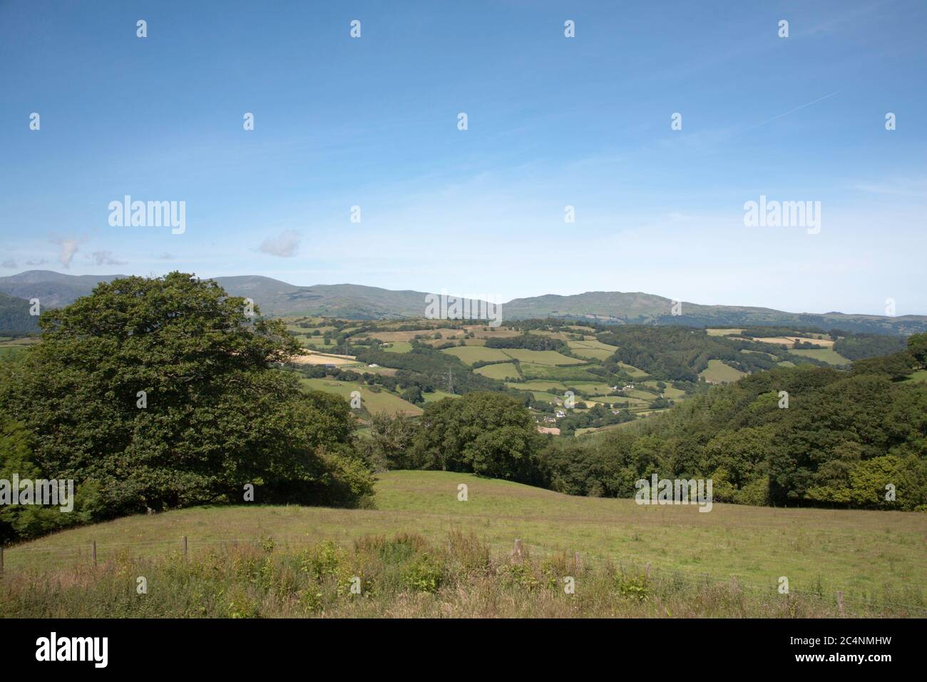 Montagne lungo la vale di Conwy Snowdonia in una mattina estiva vicino al villaggio di Eglwysbach Conwy Galles del Nord Foto Stock