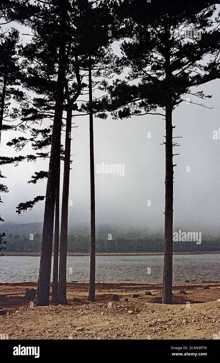 Illustrazione fotografica di una Corsica passata. La bassa nube aggiunge dramma ad un lago semplice attraverso gli alberi sparati in Corsica superiore in 1980 Foto Stock