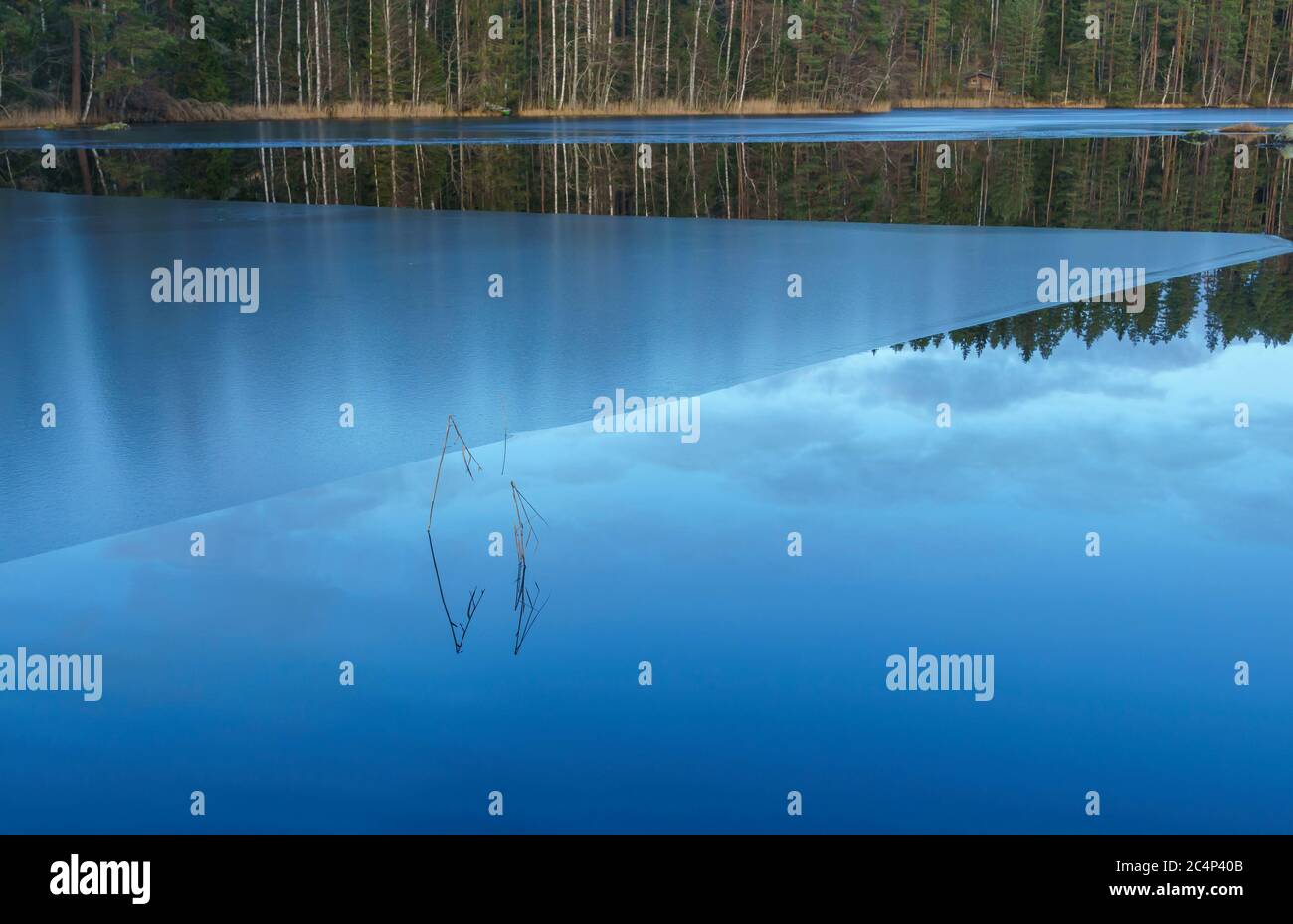 Il freddo autunnale ha formato uno strato sottile di ghiaccio a forma di cuneo sulla superficie del lago, Finlandia Foto Stock