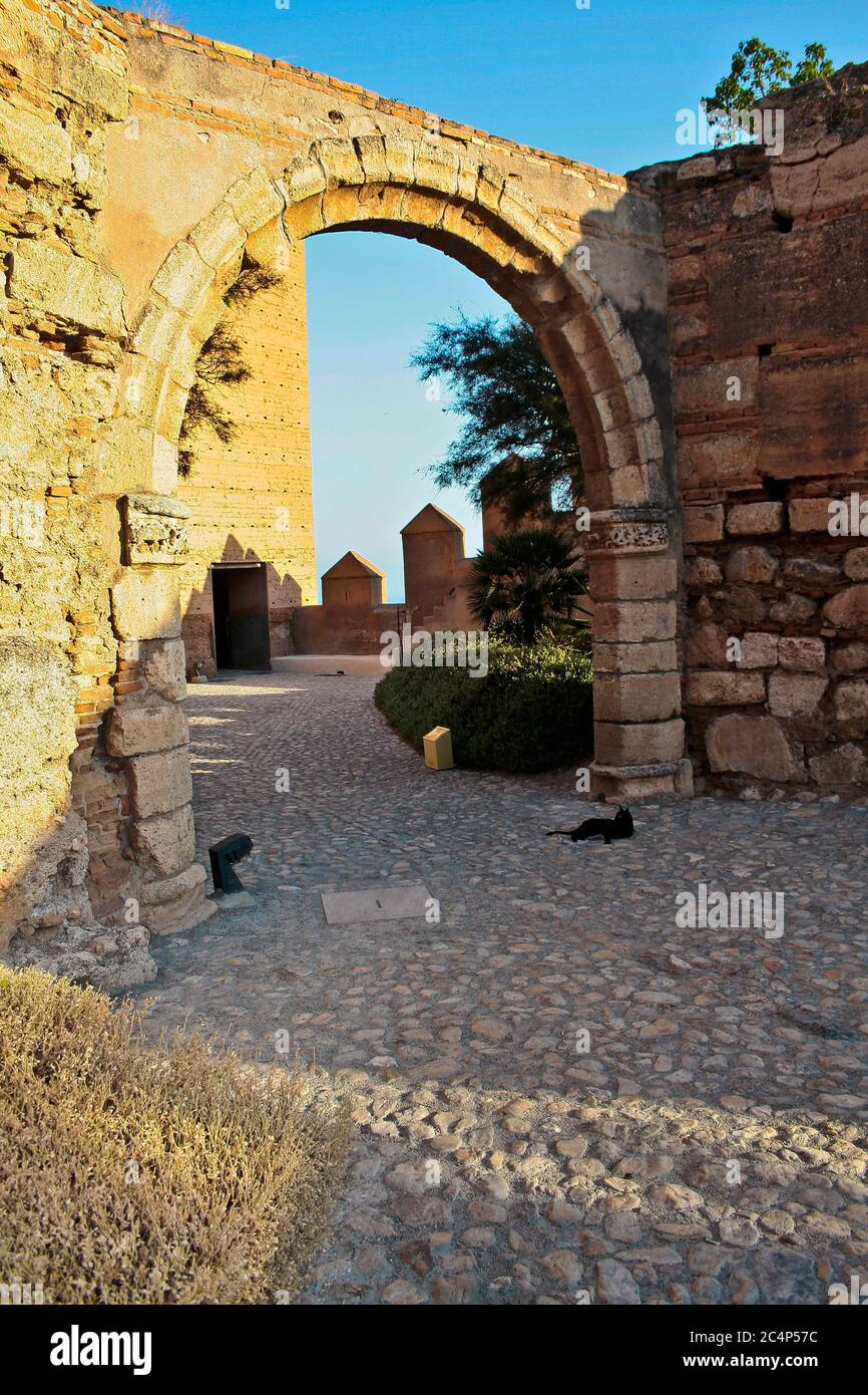 Almería, Andalusia, Spagna, Europa.. La cittadella araba fortificata dell'Alcazaba, costruita da Abd ar-Rahman III nel X secolo. Un gatto nero si trova sotto un arco. Foto Stock