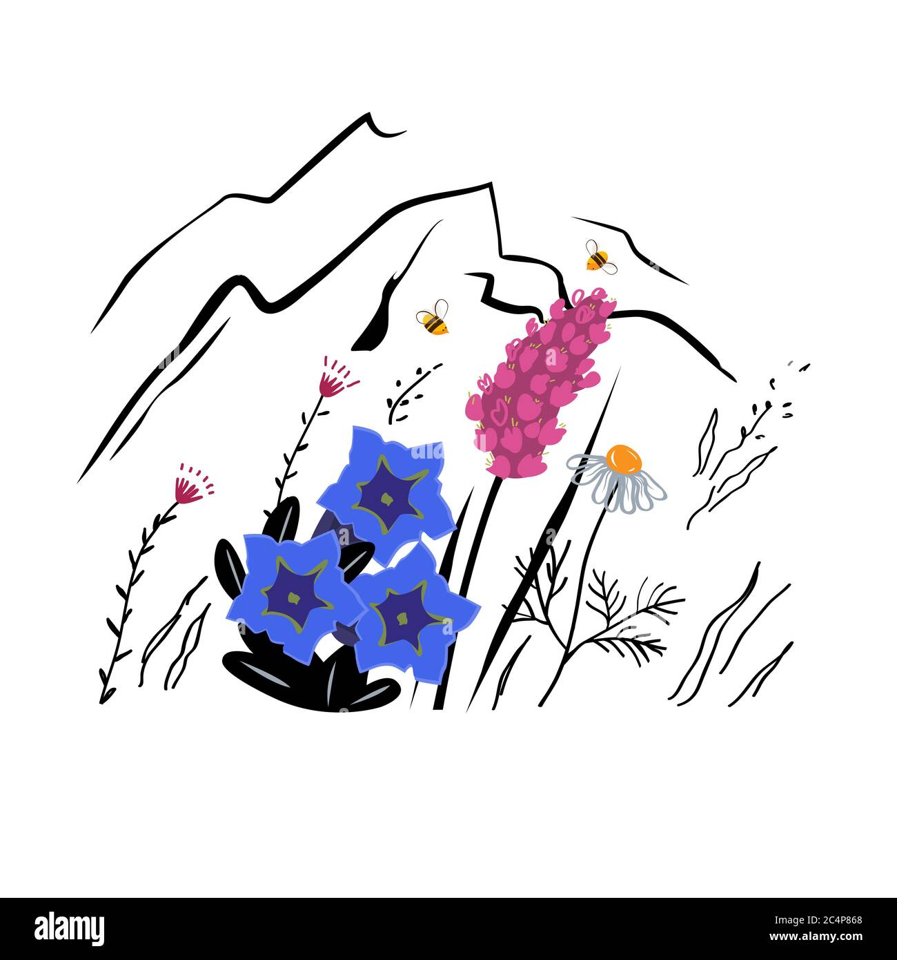 Illustrazione dello schizzo vettoriale dei fiori di montagna. Concetto di miele alpino Illustrazione Vettoriale