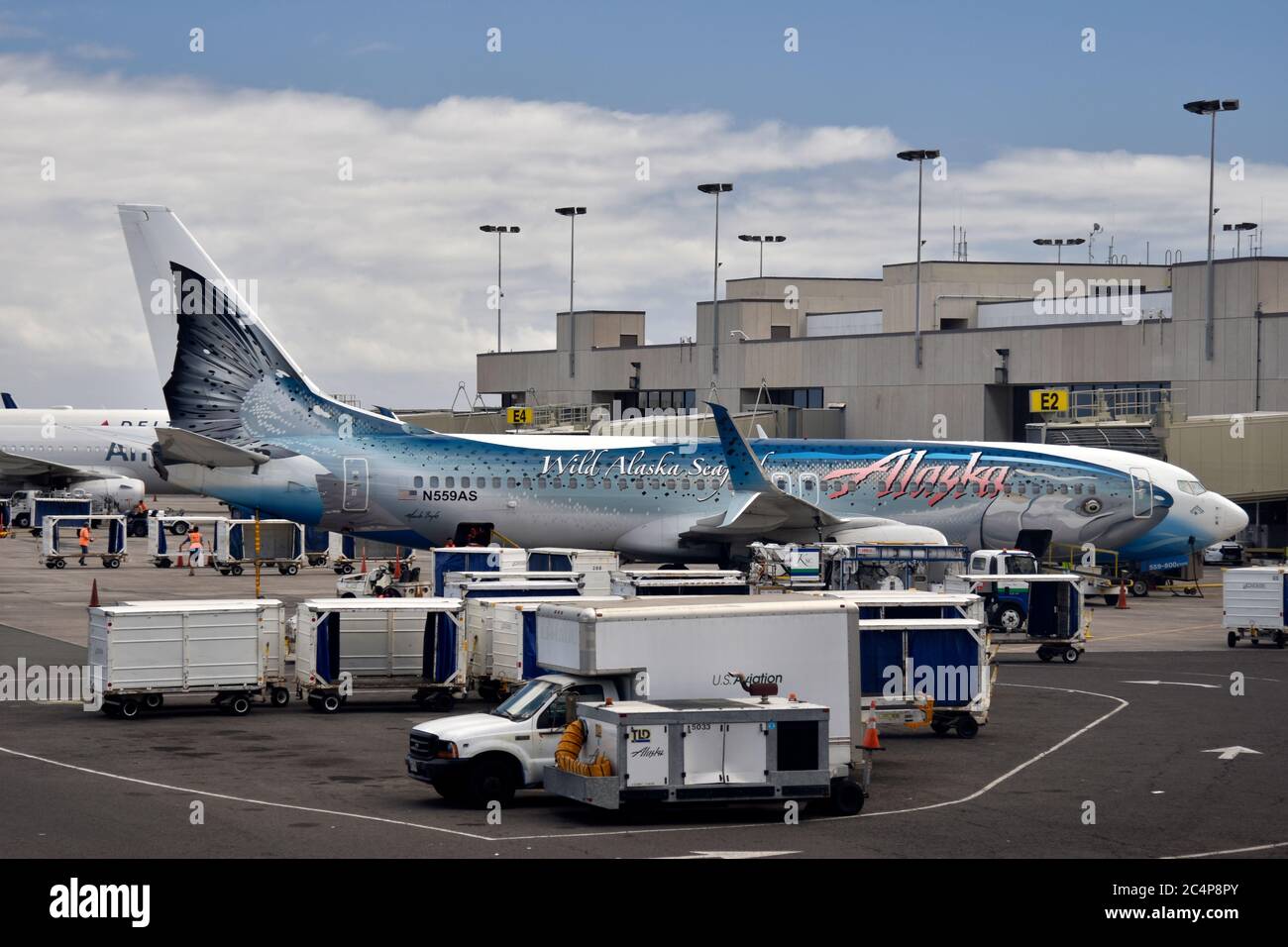 Alaska Airlines, Boeing 737-800, con livrea di salmone, Daniel K. Inouye International Airport, Honolulu, Hawaii, USA Foto Stock