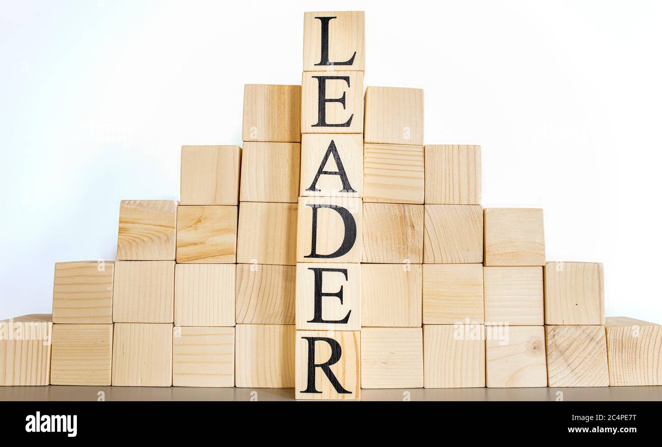 Il testo leader su cubi di legno, sullo sfondo delle tazze . Primo piano. Foto Stock