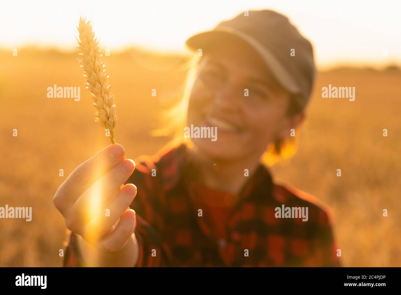 Una donna contadina si trova in un campo agricolo al tramonto e guarda un orecchio di grano. Foto Stock