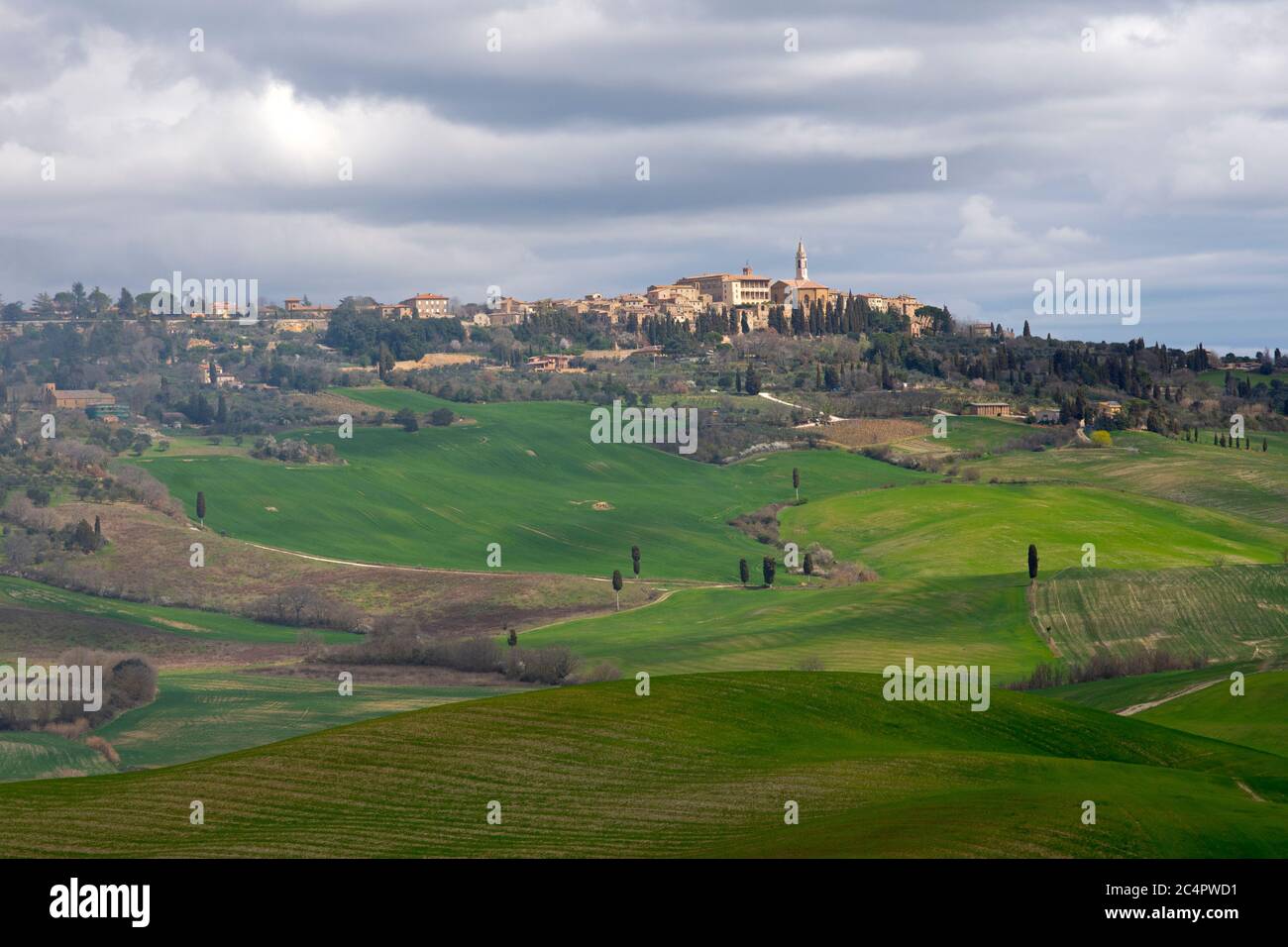 Scenografici campi intorno al paese di Pienza nella valle della Val DÕOrcia, Toscana, Italia Foto Stock