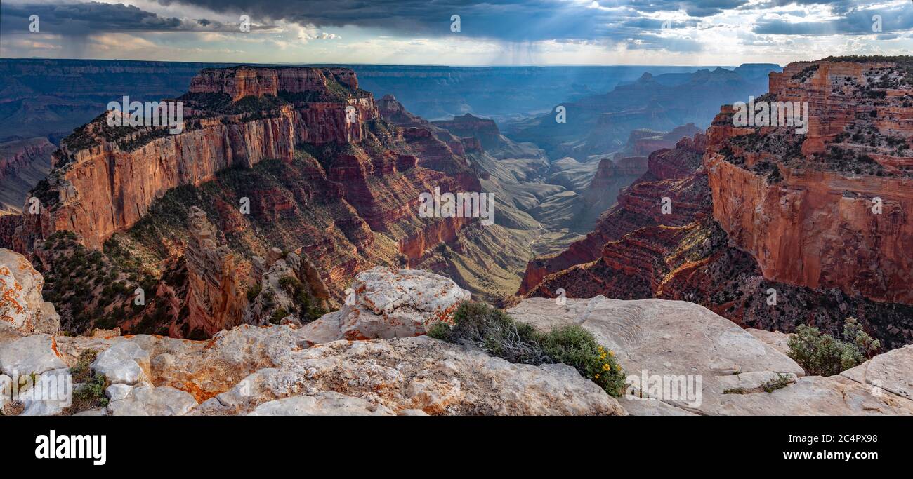 Pomeriggio tempestoso, Cape Royal Panorama - North Rim Grand Canyon - Arizona Foto Stock
