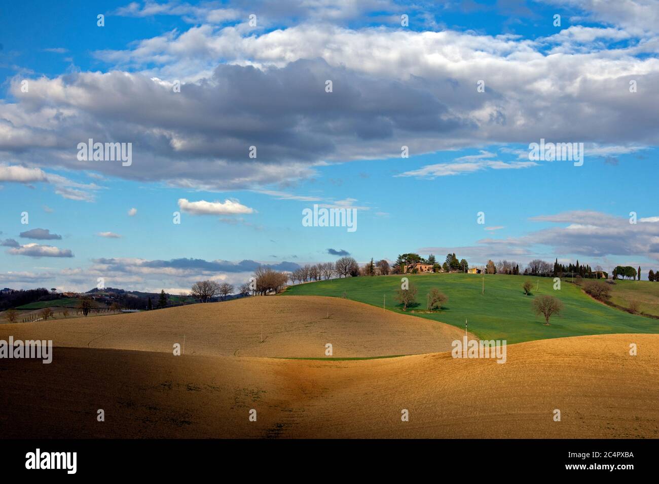 Diverse sfumature di campo di un agriturismo in Toscana Foto Stock