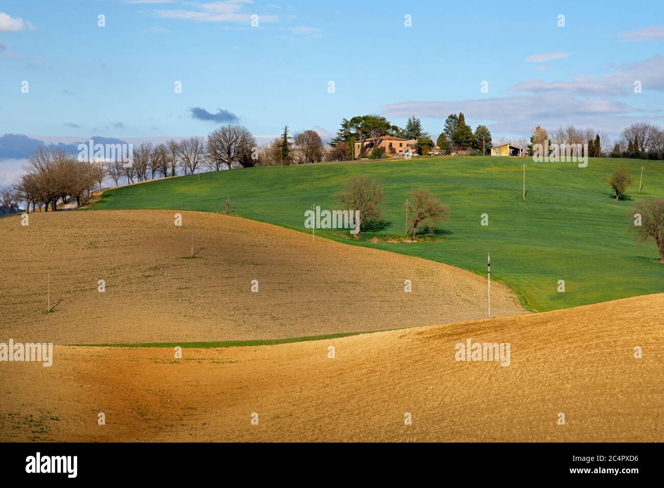 Diverse sfumature di campo di un agriturismo in Toscana Foto Stock