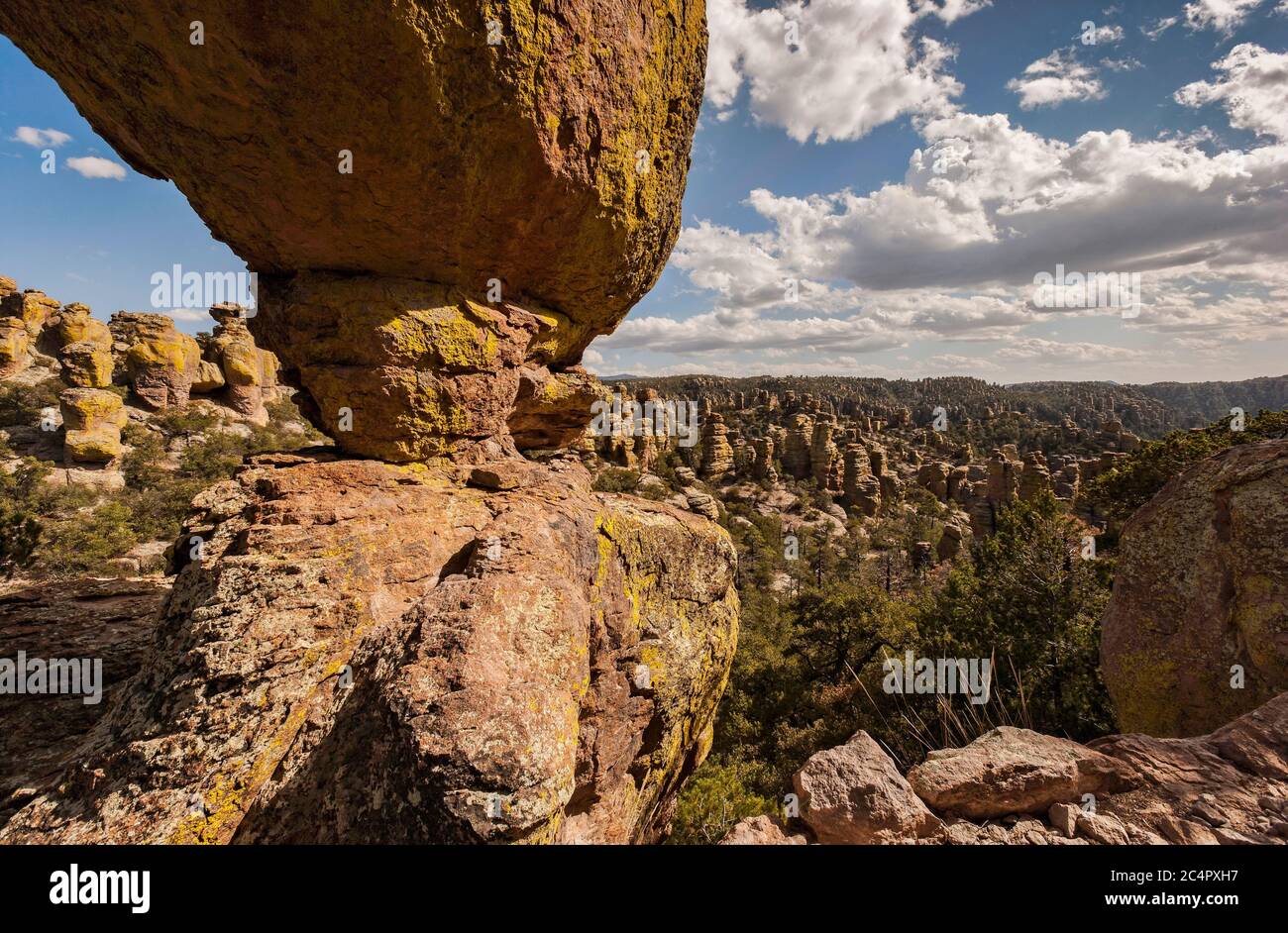 Formazioni di rhyolite rosa, monumento nazionale Chiricahua, Arizona Foto Stock