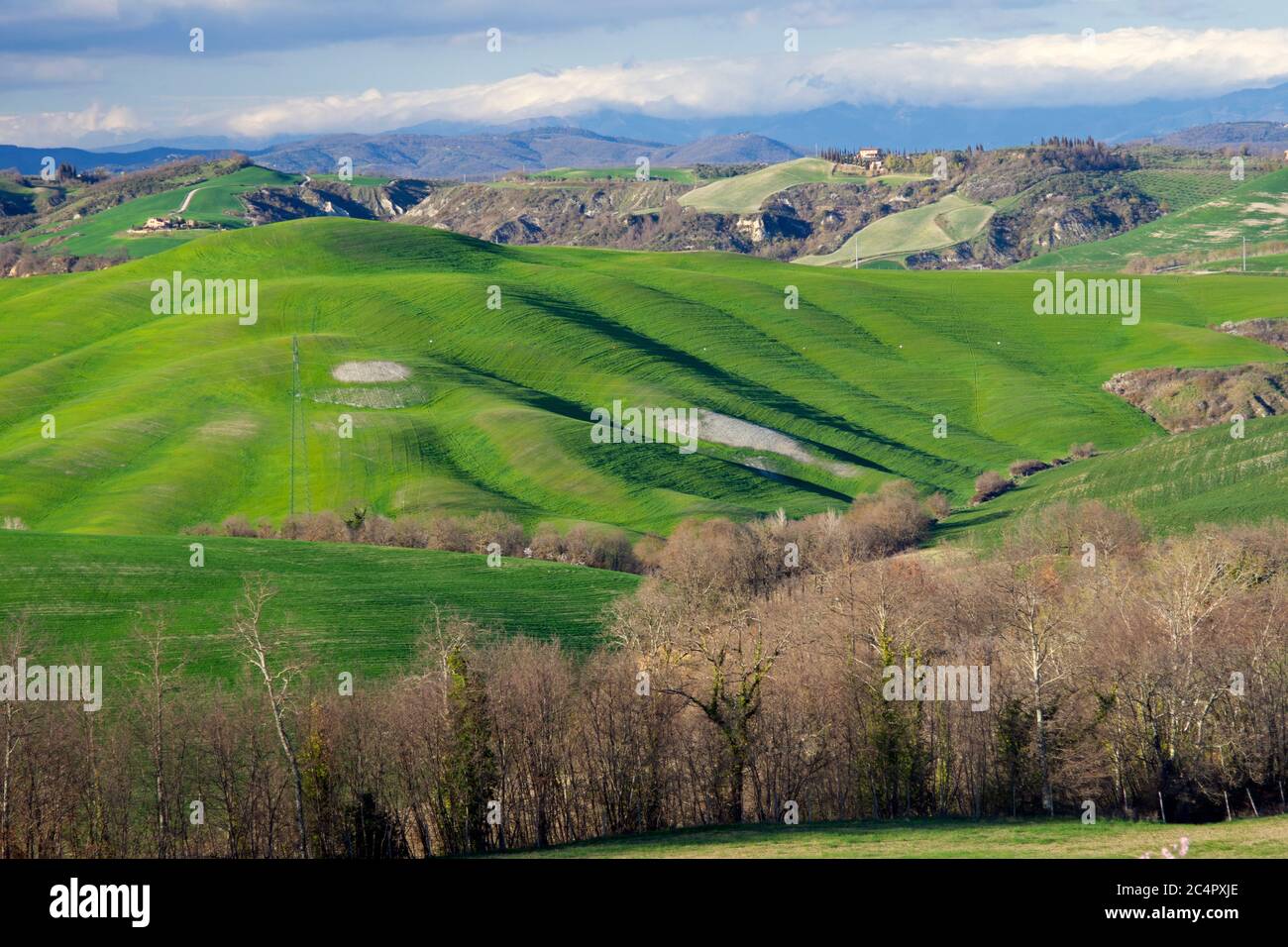 Paesaggio tipico della Toscana, con verdi colline ondulate, Italia Foto Stock