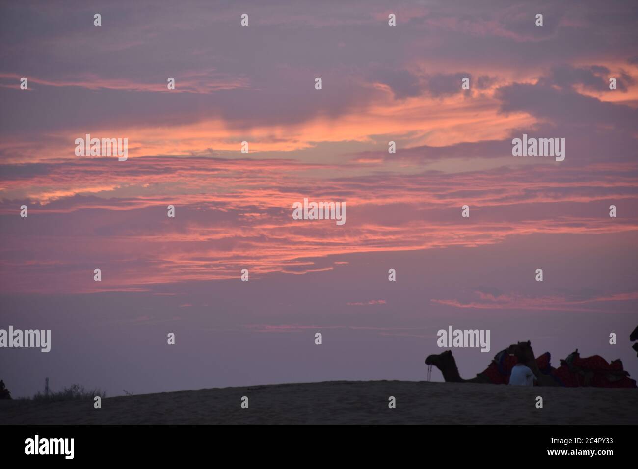 safari nel deserto alle dune di jaisalmer sam in un'ora di tramonto Foto Stock