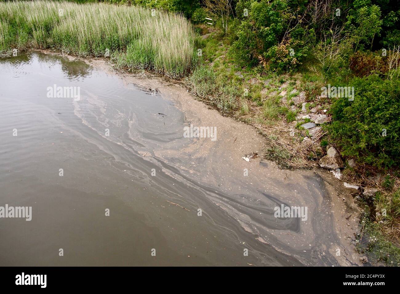 Inquinamento delle acque reflue nel fiume Foto Stock