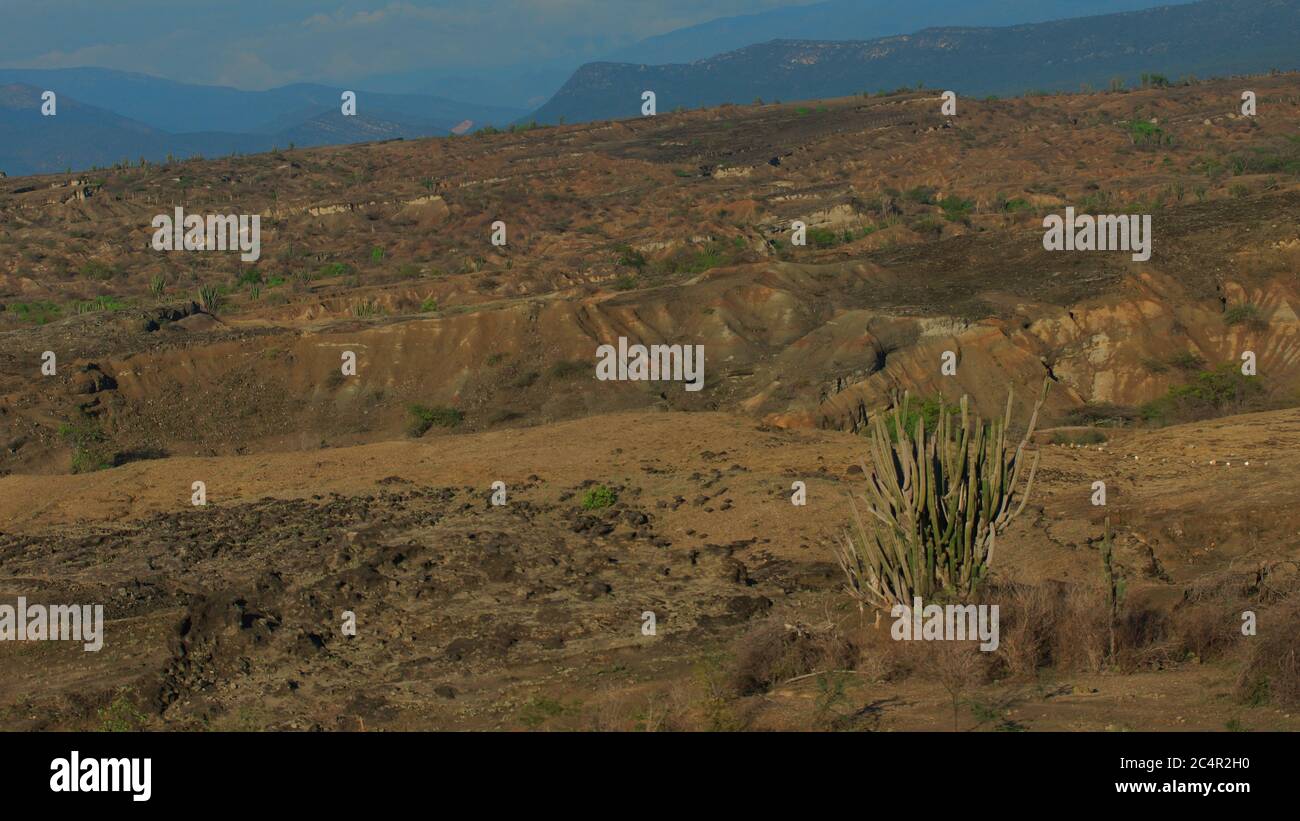 Vista del deserto della Tatacoa (deserto di Tatacoa) a Villavieja, Huila / Colombia Foto Stock