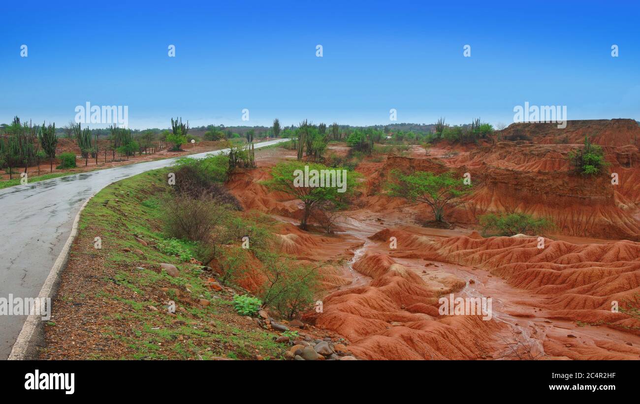 Vista del deserto della Tatacoa (deserto di Tatacoa) a Villavieja, Huila / Colombia Foto Stock