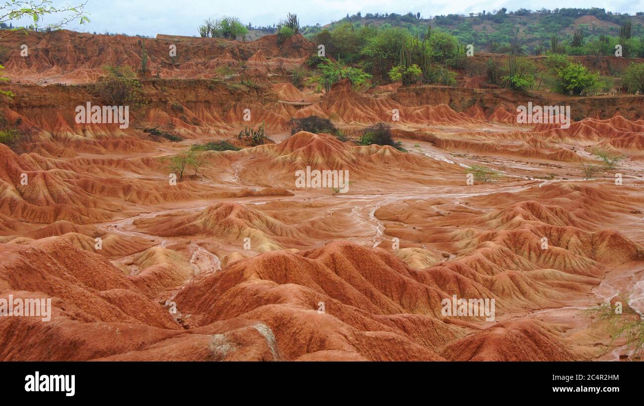 Vista del deserto della Tatacoa (deserto di Tatacoa) a Villavieja, Huila / Colombia Foto Stock