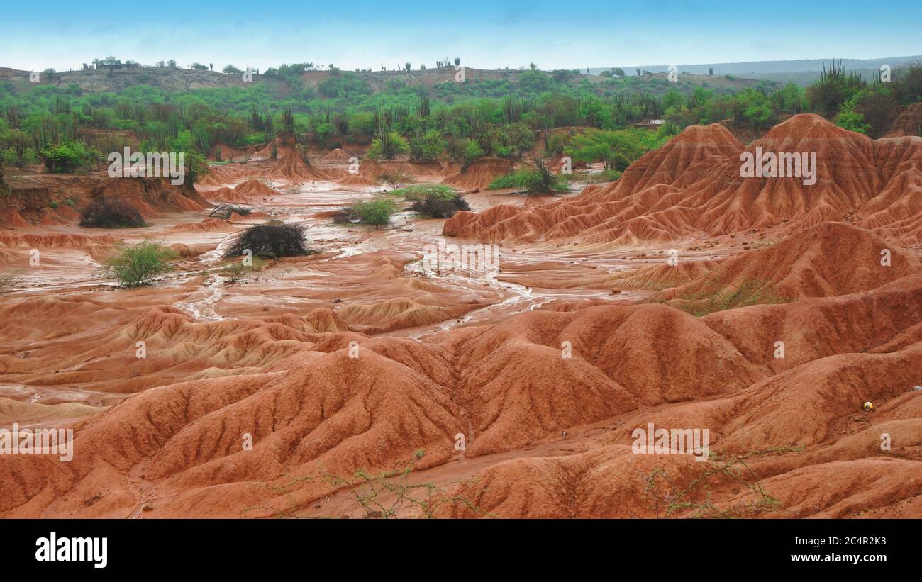 Vista del deserto della Tatacoa (deserto di Tatacoa) a Villavieja, Huila / Colombia Foto Stock