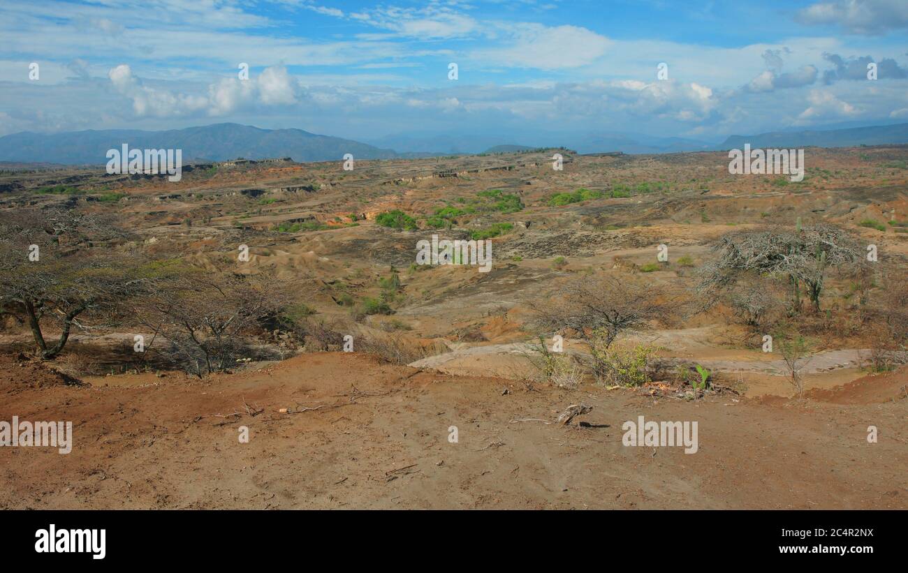 Vista del deserto della Tatacoa (deserto di Tatacoa) a Villavieja, Huila / Colombia Foto Stock